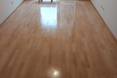 c8a4edd8-875a-4da8-b557-9a77463f2736